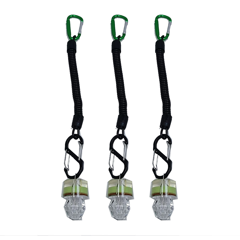 2-3 Stück LED-Angellichter mit – Fish Alarm Bewertung und Preis
